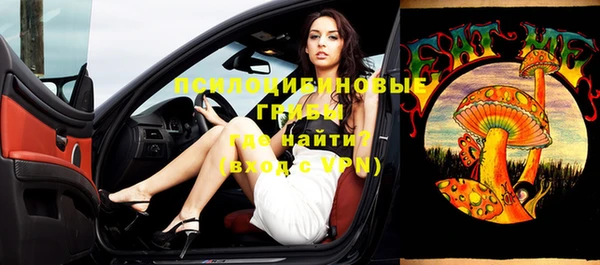 синтетический гашиш Новодвинск